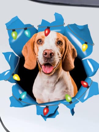 Personalisierter Aufkleber – Weihnachtsbeleuchtung