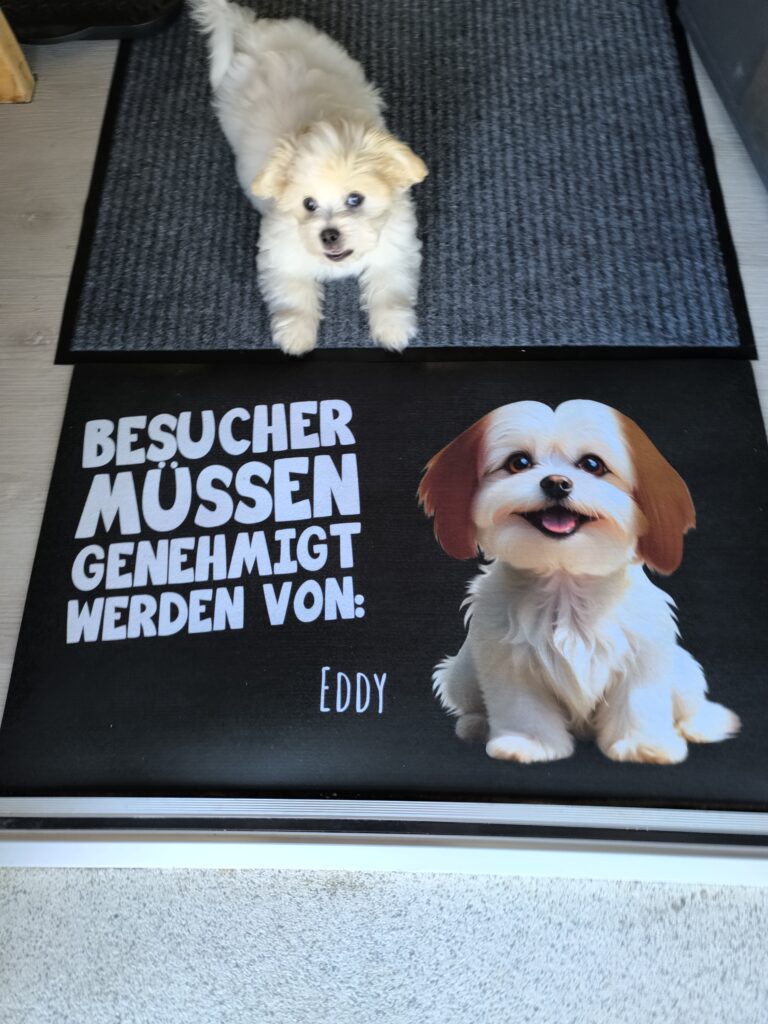 Bild #1 von Antje Dewitz